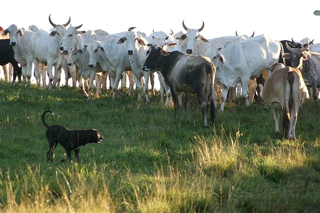 Februar 2013 136.JPG - Ich komme morgen aber wieder Mädels...